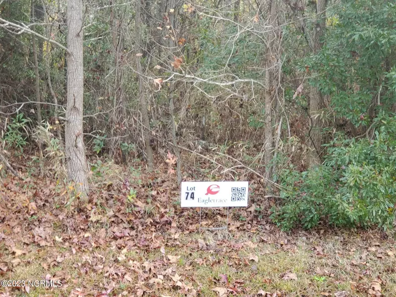 Lot 74 Eagle Nest TRL, Blounts Creek, NC 27814