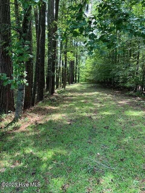 Hertford, NC 27944,117 Shady CIR