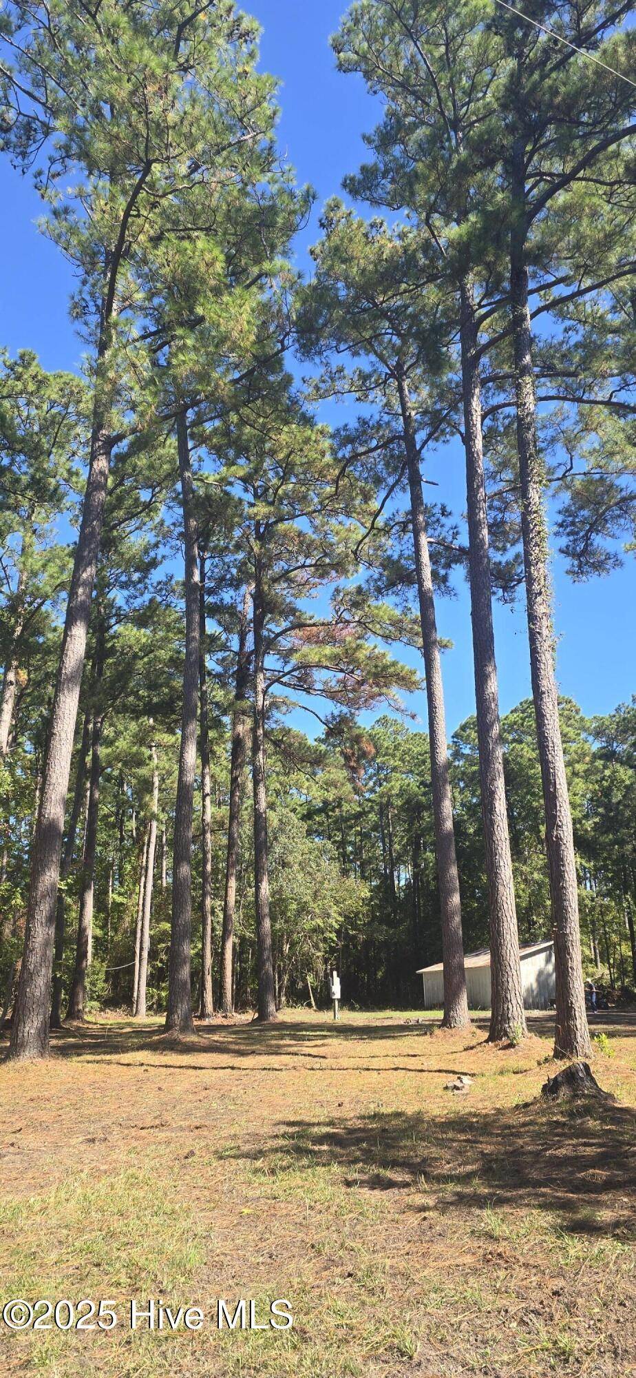 Gloucester, NC 28528,250 N Pigott RD