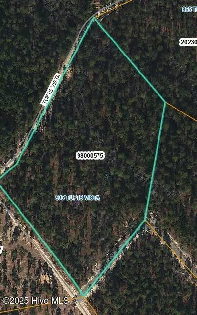 Jackson Springs, NC 27281,905 & 865 Tufts VIS