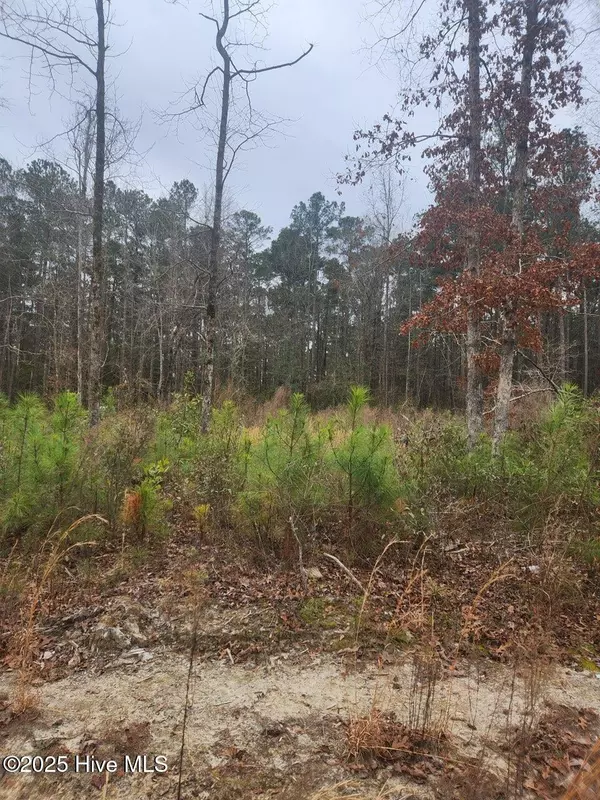 2508 Wild Turkey RD, New Bern, NC 28562