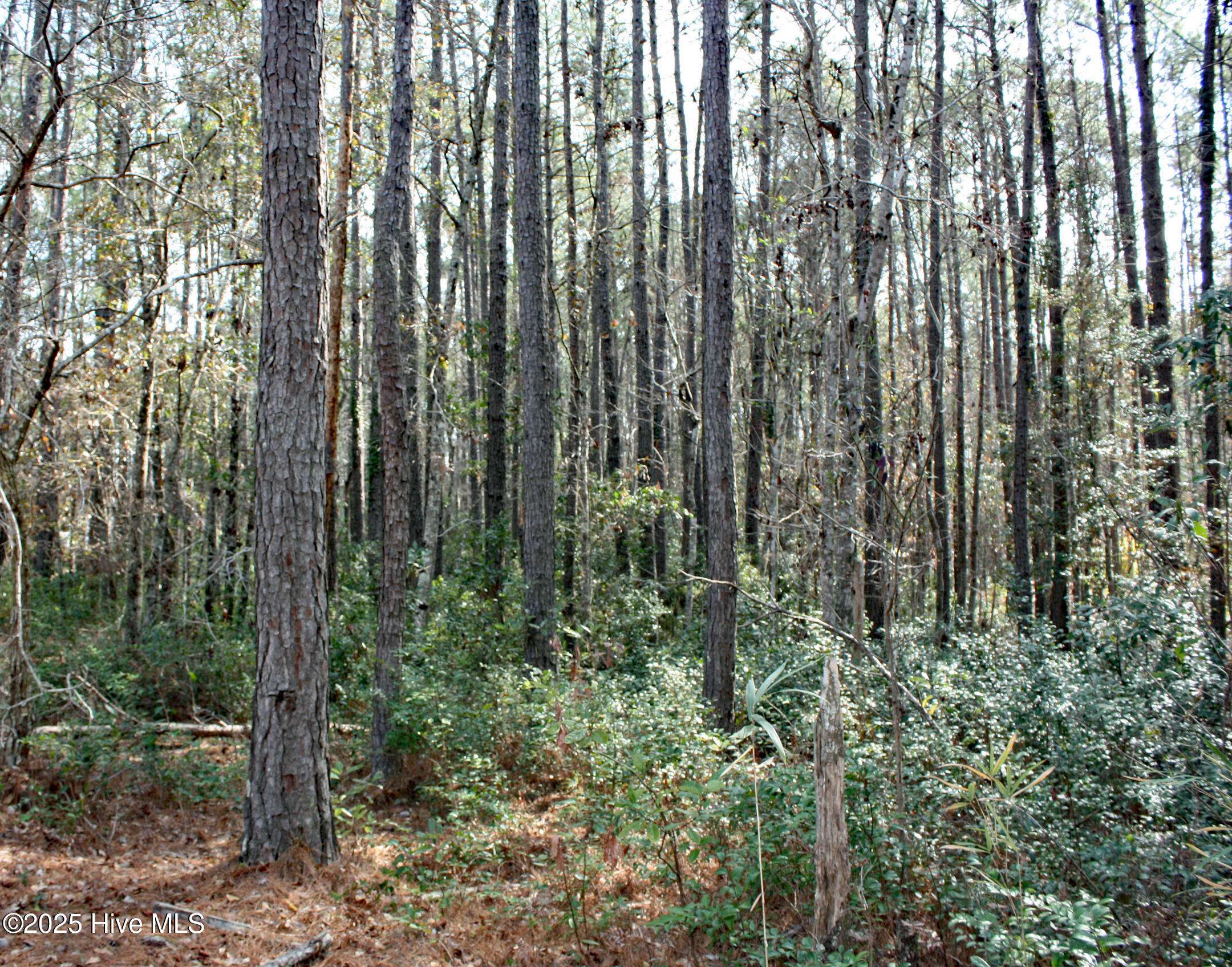 Ocean Isle Beach, NC 28469,543 Lindgrove PL SW