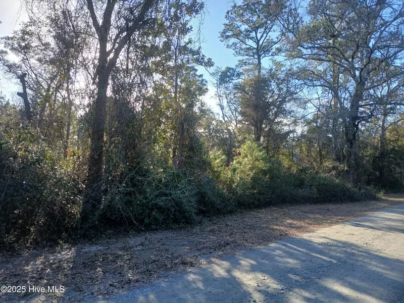 Lot 71 Yaupon Drive Ext, Southport, NC 28461