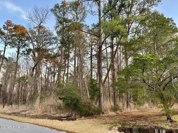 Elizabeth City, NC 27909,166 Spindrift TRL