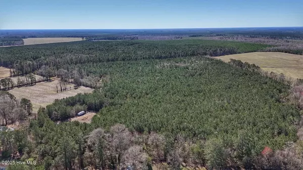 Trenton, NC 28585,01 Highway 41