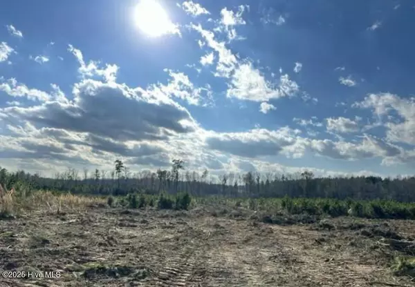 Lot 21 Good Shepherd TRL, Spring Hope, NC 27882