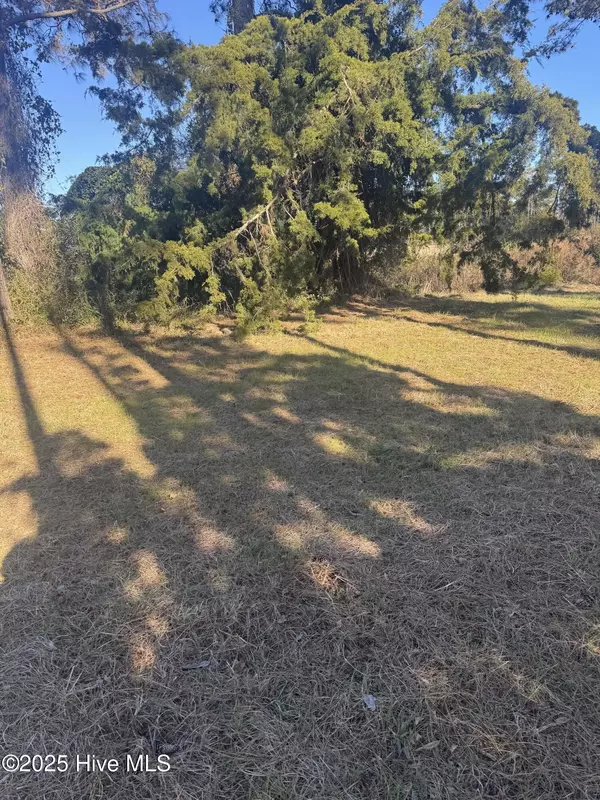 Southport, NC 28461,4016 Barnes Bluff DR SE