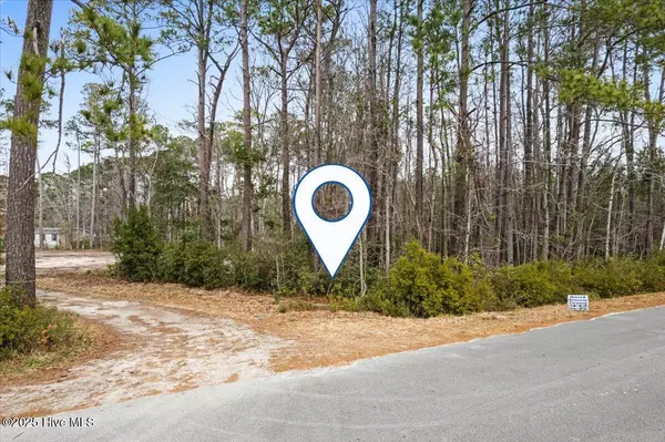 Shallotte, NC 28470,390 Walkinghorse PT SW