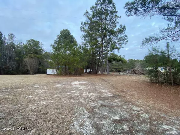 Atkinson, NC 28421,1310 Slocum TRL