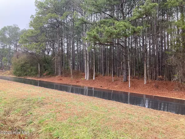 00 Lloyd RD, Lucama, NC 27851