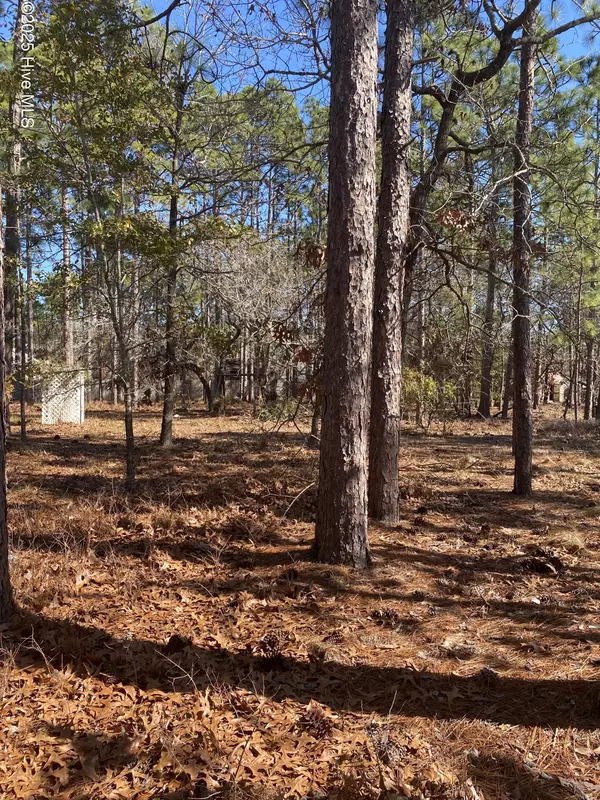 501 Cherokee RD, Boiling Spring Lakes, NC 28461