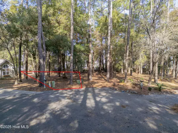 Shallotte, NC 28470,1936 Egret ST SW