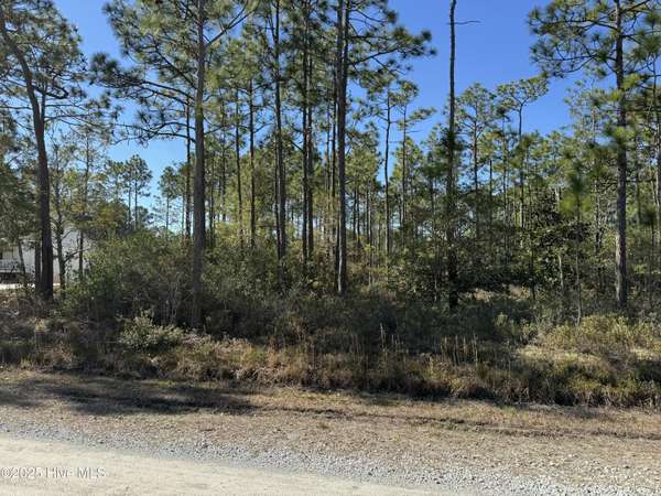 Southport, NC 28461,100 Bridges RD