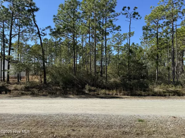 100 Bridges RD, Southport, NC 28461