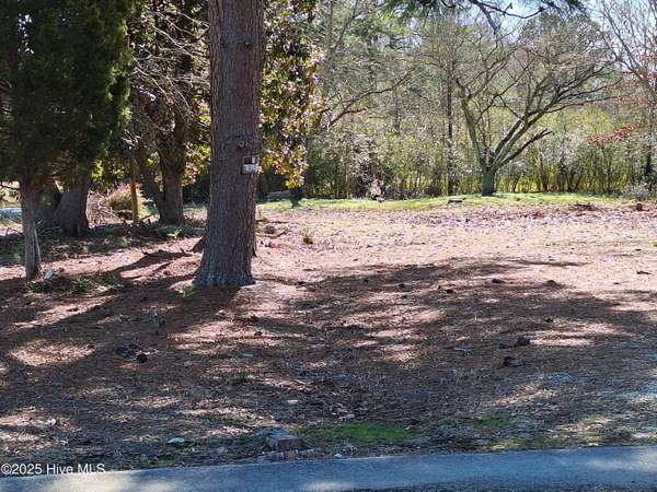 Rich Square, NC 27869,Tbd Roberts RD