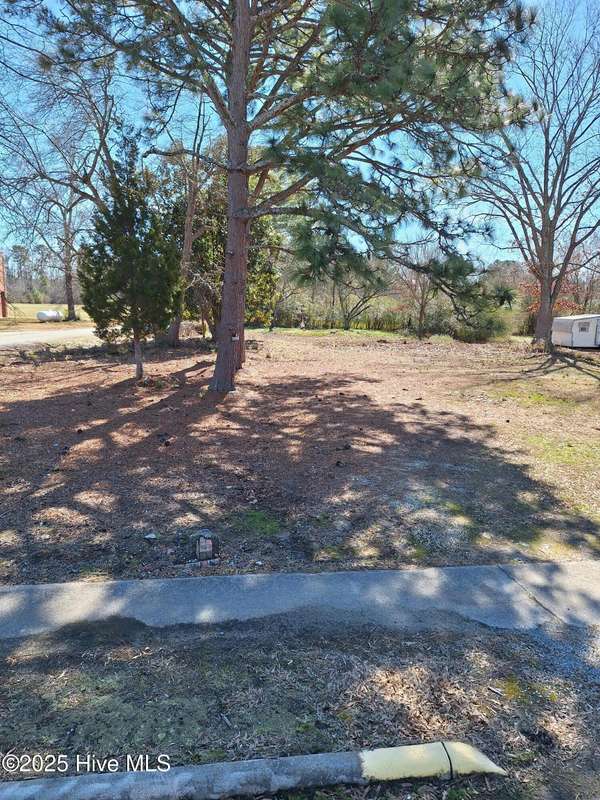 Rich Square, NC 27869,Tbd Roberts RD