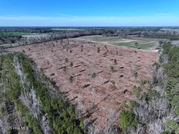 Fairmont, NC 28340,Tbd Centerville Church RD