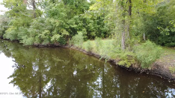 Washington, NC 27889,292 Loggerhead CT