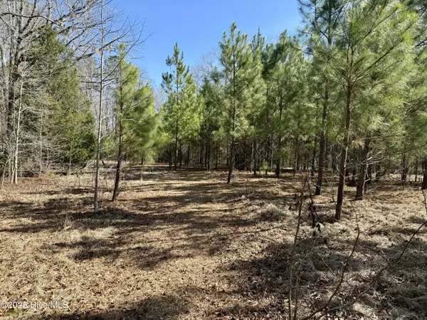 Jacksonville, NC 28540,00 Old Tar Landing RD