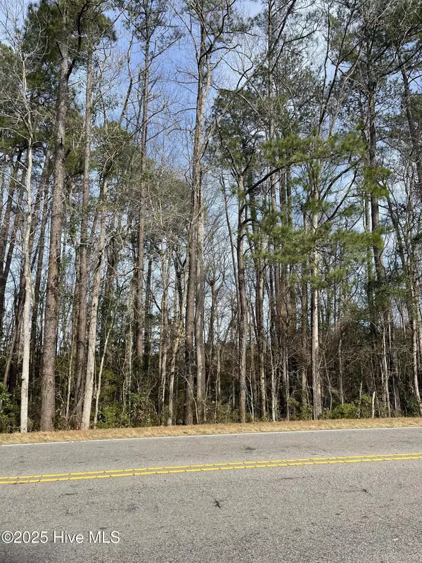 Bolivia, NC 28422,2.44 Acres US 87