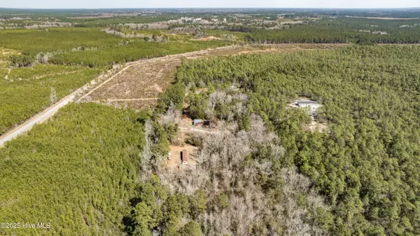 Maple Hill, NC 28454,L 3 Brown Heritage RD