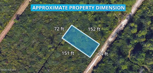 Boiling Spring Lakes, NC 28461,Lot #256 Hawthorne RD