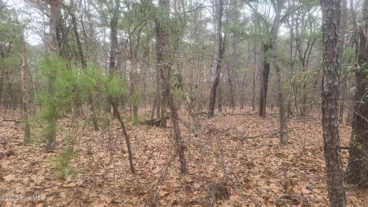 Carthage, NC 28327,Tbd Union Church RD