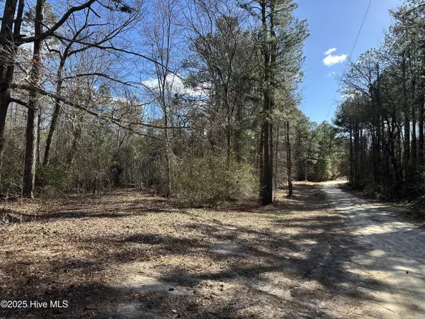 Laurel Hill, NC 28351,Tbd Cliff Gibson RD