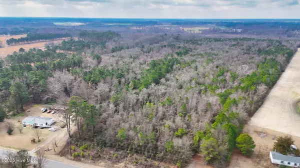 Faison, NC 28341,0 E Darden East RD