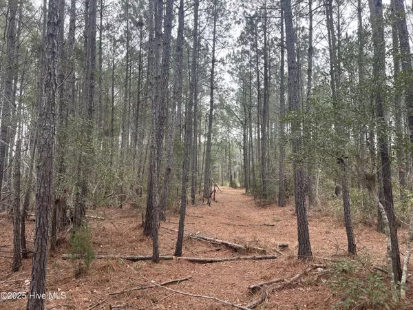 Bayboro, NC 28515,12043 Nc Highway 304