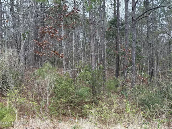 New Bern, NC 28562,211 Green Trees DR