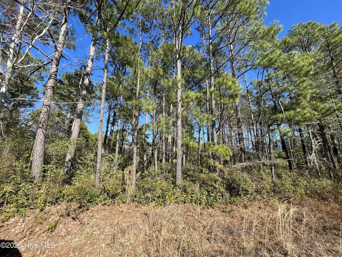 Shallotte, NC 28470,1224 Gray Bridge RD SW