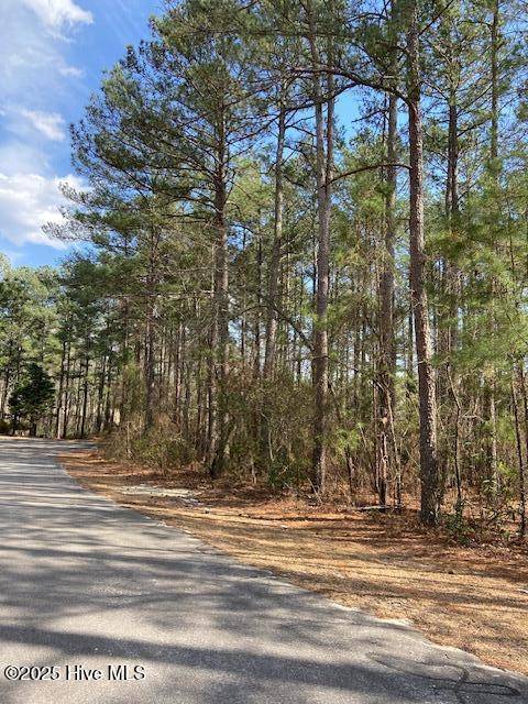 Wagram, NC 28396,30 Forest Fern CT