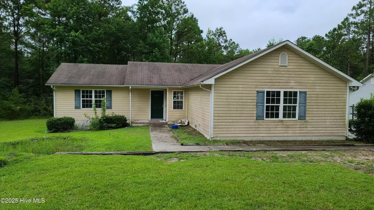 Maple Hill, NC 28454,120 Boysenberry Fields RD