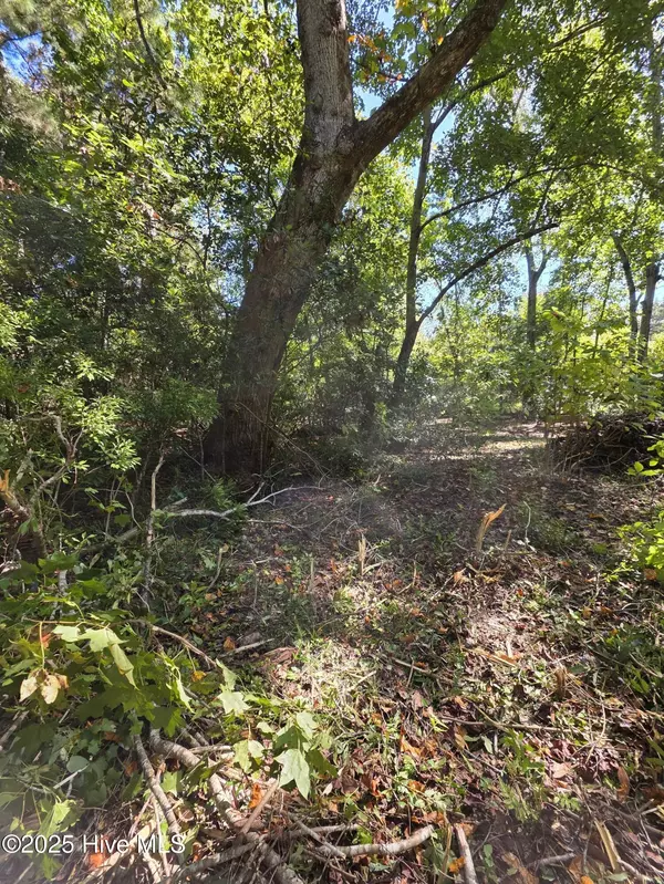 20 West High Bluff DR, Hampstead, NC 28443