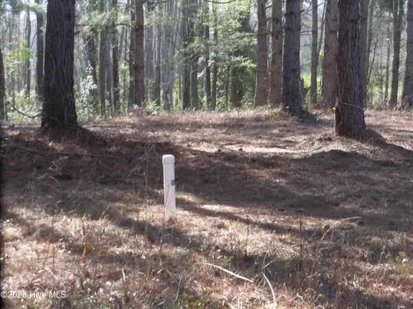 Whiteville, NC 28472,1244 Arn Ward RD