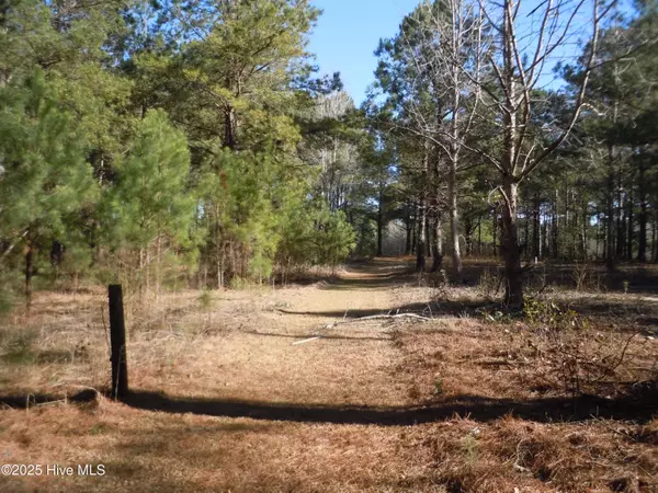 Whiteville, NC 28472,1244 Arn Ward RD