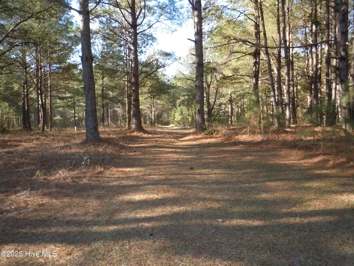 Whiteville, NC 28472,1244 Arn Ward RD