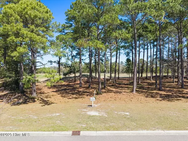 Sunset Beach, NC 28468,591 Lot 33 Eastwood Park RD