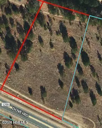 Cameron, NC 28326,168 Dove RD