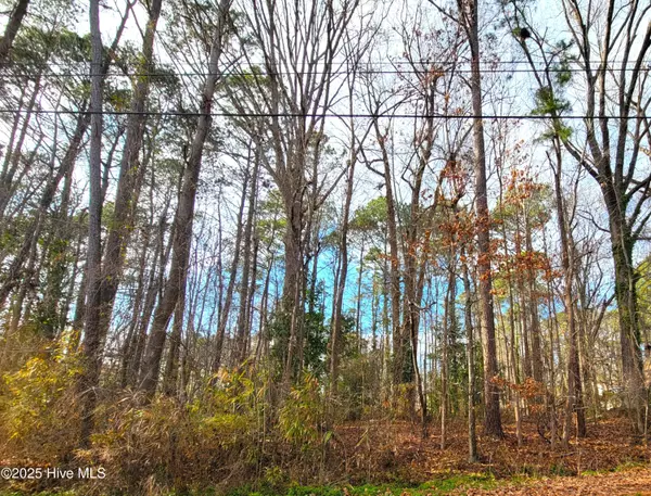 Lot 34 Brassie DR, Grifton, NC 28530