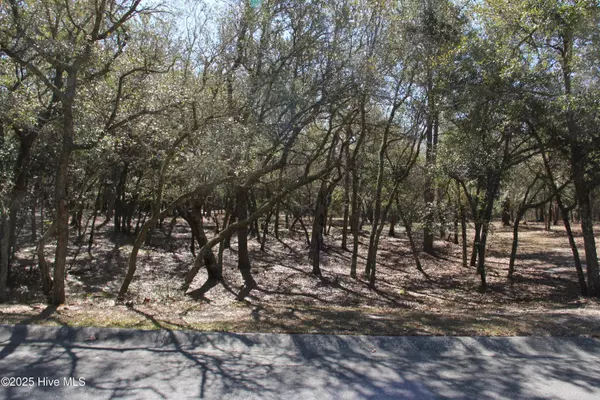 Supply, NC 28462,587 S Seascape BLVD SW