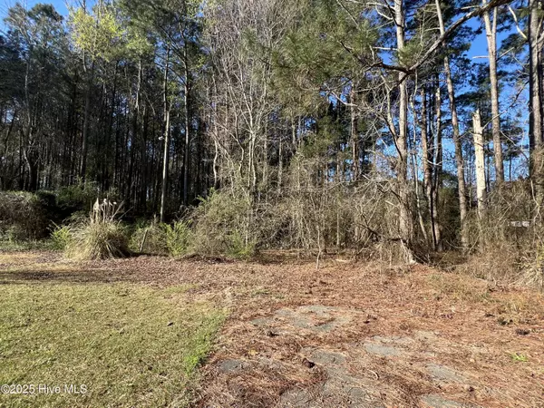 Smithfield, NC 27577,00 Wildberry RD