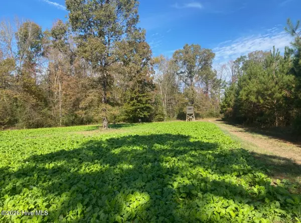 White Oak, NC 28399,0 River RD