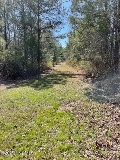 Edenton, NC 27932,206 Cotton Patch LN