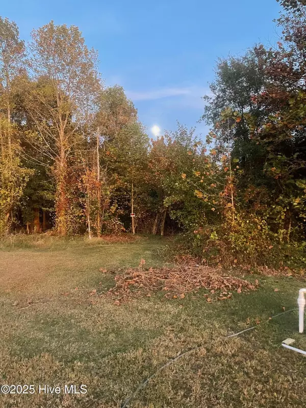 Edenton, NC 27932,206 Cotton Patch LN