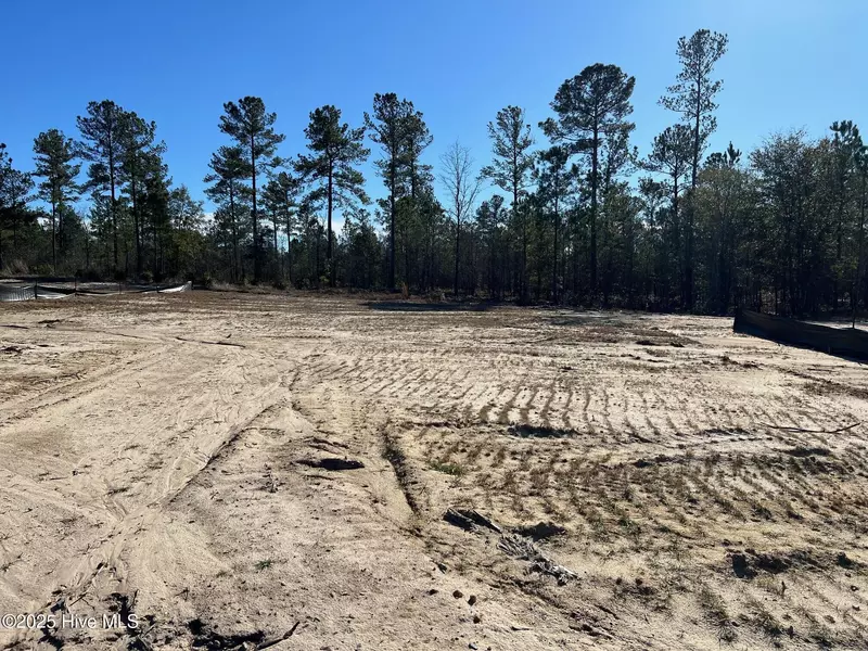 2918 W Timber Crest LN NE, Leland, NC 28451