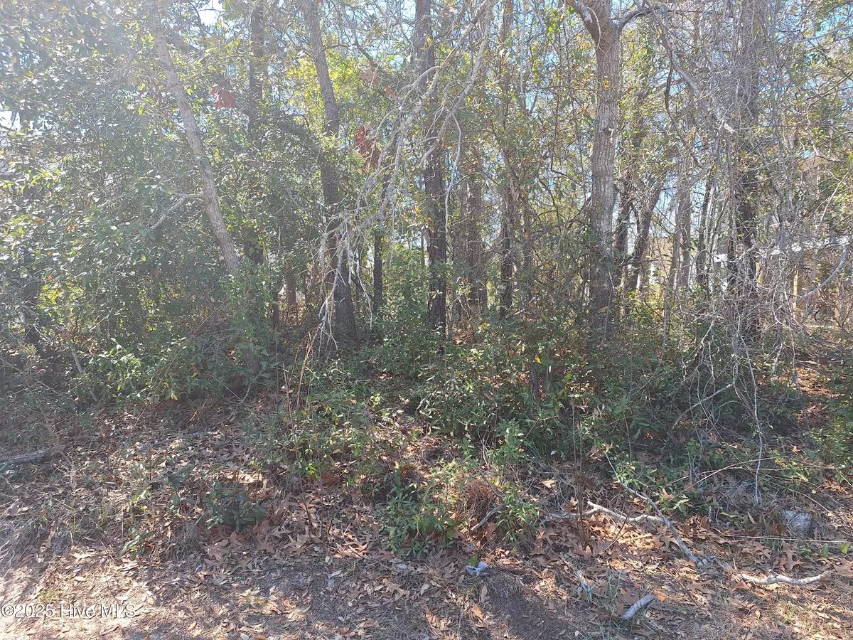 Oak Island, NC 28465,111 NW 11th. ST