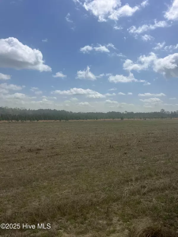 Jackson Springs, NC 27281,1781 Currie Mill RD