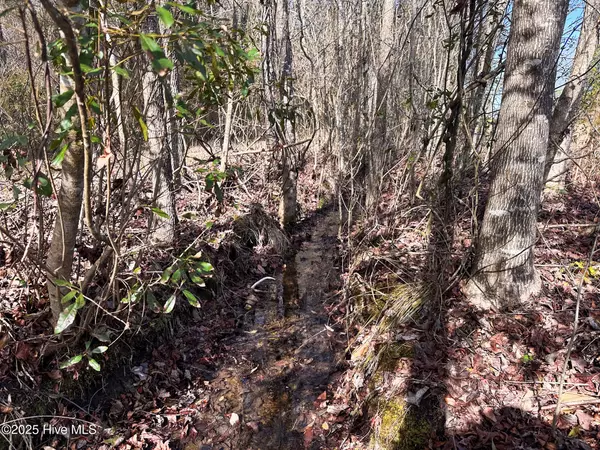 Lumberton, NC 28358,#1 Snake RD